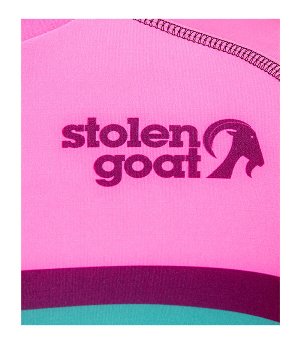 Close up of front logo on Stolen Goat misty jersey