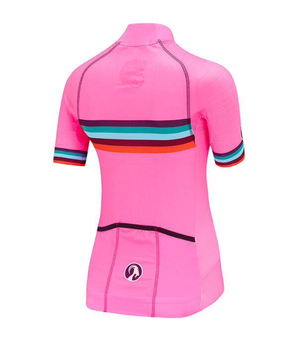 Stolen Goat misty epic jersey bright pink with rainbow block stripe - rear view
